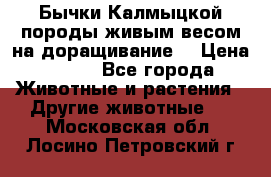 Бычки Калмыцкой породы живым весом на доращивание. › Цена ­ 135 - Все города Животные и растения » Другие животные   . Московская обл.,Лосино-Петровский г.